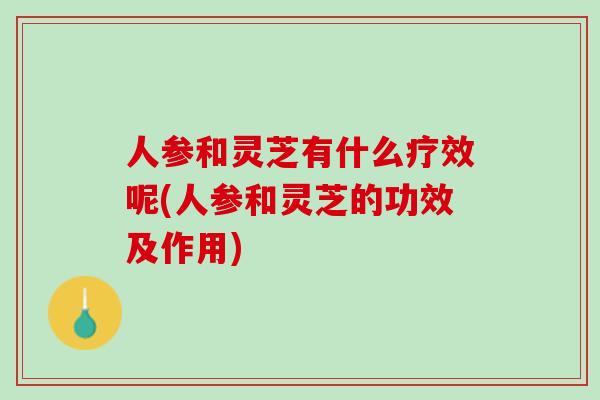 人参和灵芝有什么疗效呢(人参和灵芝的功效及作用)