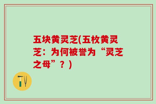 五块黄灵芝(五枚黄灵芝：为何被誉为“灵芝之母”？)