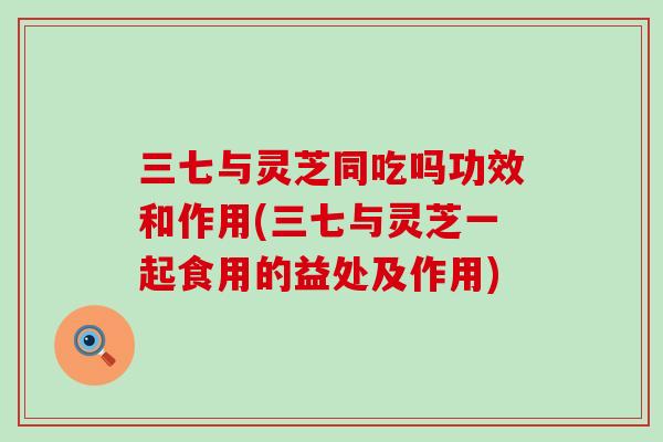 三七与灵芝同吃吗功效和作用(三七与灵芝一起食用的益处及作用)