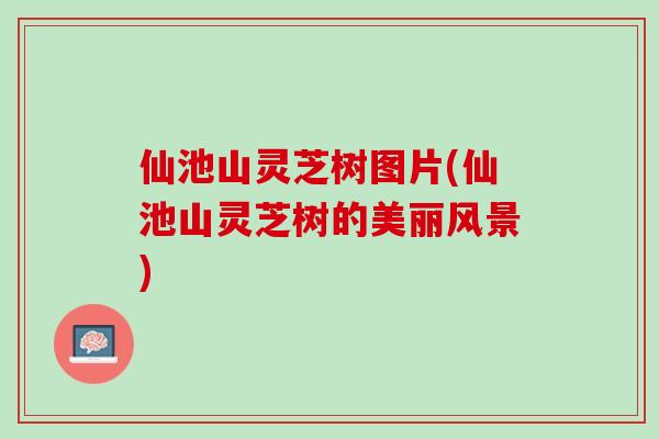 仙池山灵芝树图片(仙池山灵芝树的美丽风景) 仙池山灵芝树图片(仙池山灵芝树的美丽风景)