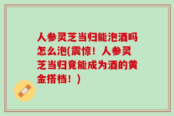 人参灵芝当归能泡酒吗怎么泡(震惊！人参灵芝当归竟能成为酒的黄金搭档！)