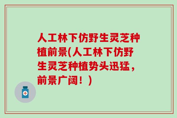 人工林下仿野生灵芝种植前景(人工林下仿野生灵芝种植势头迅猛，前景广阔！)