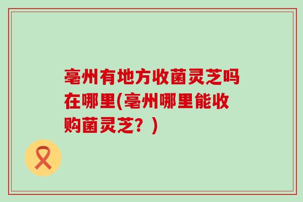 亳州有地方收菌灵芝吗在哪里(亳州哪里能收购菌灵芝？)