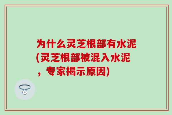 为什么灵芝根部有水泥(灵芝根部被混入水泥，专家揭示原因)