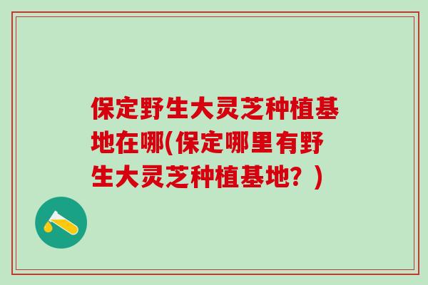 保定野生大灵芝种植基地在哪(保定哪里有野生大灵芝种植基地？)