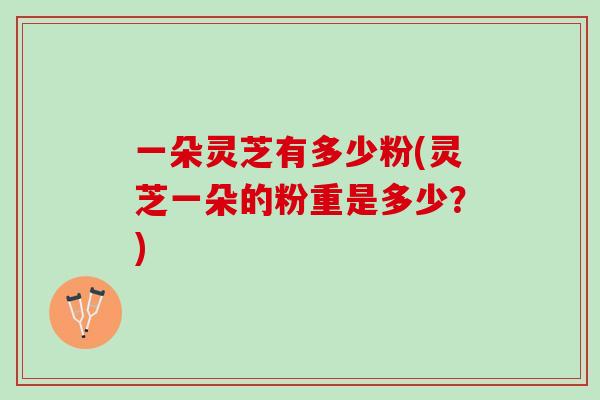 一朵灵芝有多少粉(灵芝一朵的粉重是多少？)