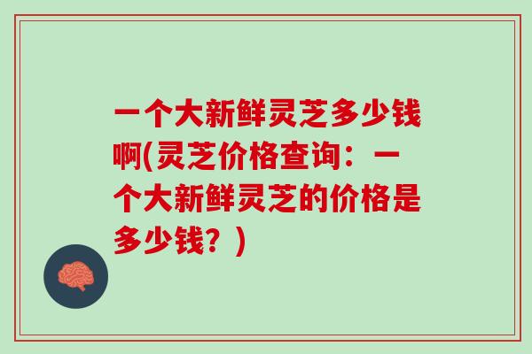 一个大新鲜灵芝多少钱啊(灵芝价格查询：一个大新鲜灵芝的价格是多少钱？)