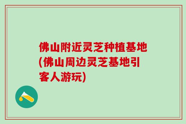 佛山附近灵芝种植基地(佛山周边灵芝基地引客人游玩)