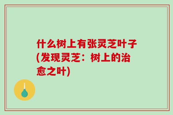 什么树上有张灵芝叶子(发现灵芝：树上的治愈之叶)