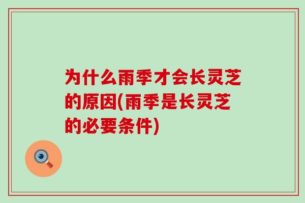 为什么雨季才会长灵芝的原因(雨季是长灵芝的必要条件)
