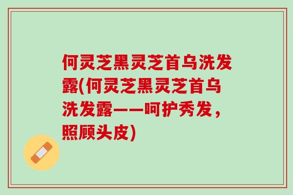 何灵芝黑灵芝首乌洗发露(何灵芝黑灵芝首乌洗发露——呵护秀发，照顾头皮)