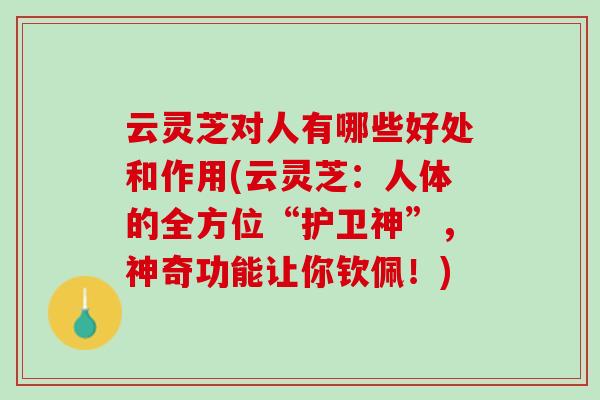 云灵芝对人有哪些好处和作用(云灵芝：人体的全方位“护卫神”，神奇功能让你钦佩！)