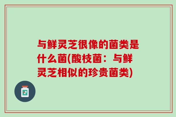 与鲜灵芝很像的菌类是什么菌(酸枝菌：与鲜灵芝相似的珍贵菌类)