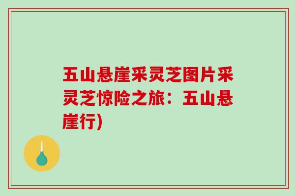 五山悬崖采灵芝图片采灵芝惊险之旅：五山悬崖行)