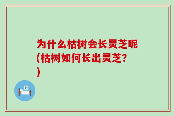 为什么枯树会长灵芝呢(枯树如何长出灵芝？)