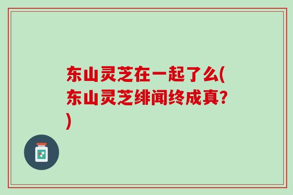 东山灵芝在一起了么(东山灵芝绯闻终成真？)