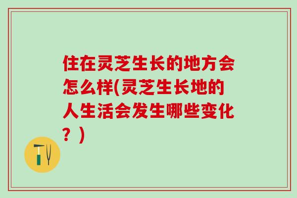 住在灵芝生长的地方会怎么样(灵芝生长地的人生活会发生哪些变化？)