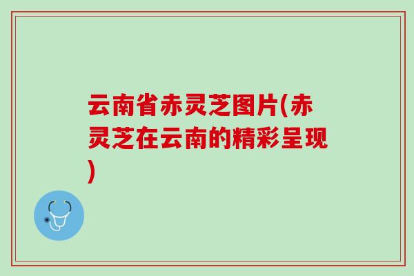 云南省赤灵芝图片(赤灵芝在云南的精彩呈现)