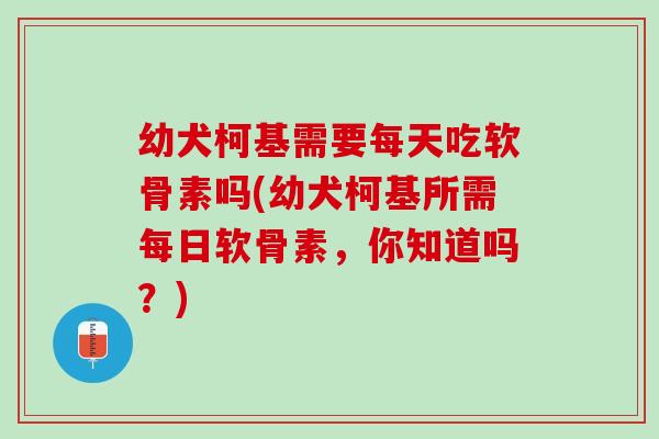 幼犬柯基需要每天吃软骨素吗(幼犬柯基所需每日软骨素，你知道吗？)