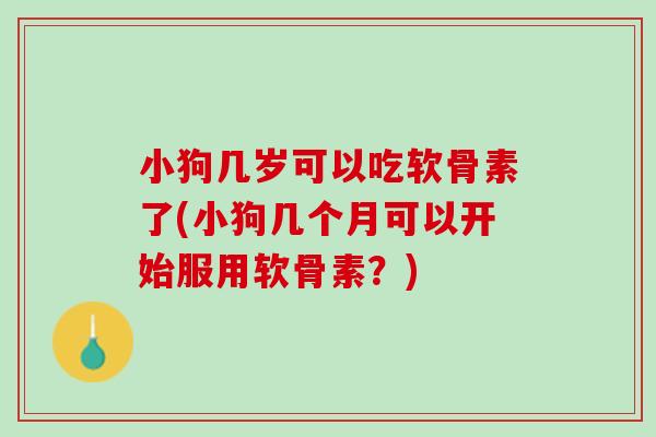 小狗几岁可以吃软骨素了(小狗几个月可以开始服用软骨素？)