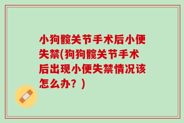 小狗髋关节手术后小便失禁(狗狗髋关节手术后出现小便失禁情况该怎么办？)