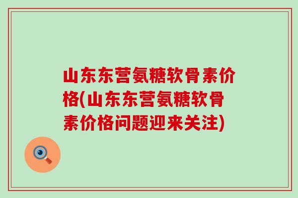 山东东营氨糖软骨素价格(山东东营氨糖软骨素价格问题迎来关注)