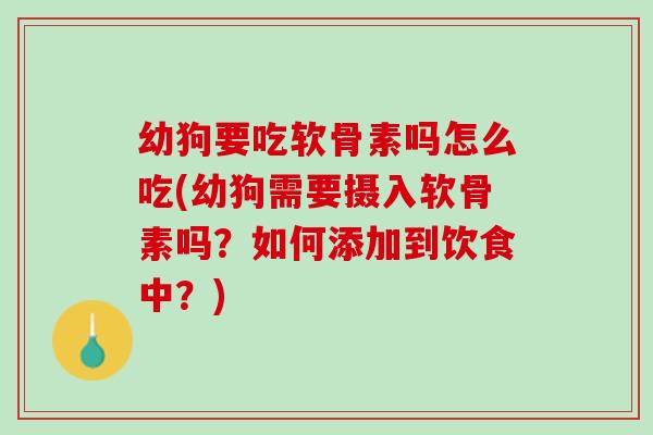幼狗要吃软骨素吗怎么吃(幼狗需要摄入软骨素吗？如何添加到饮食中？)