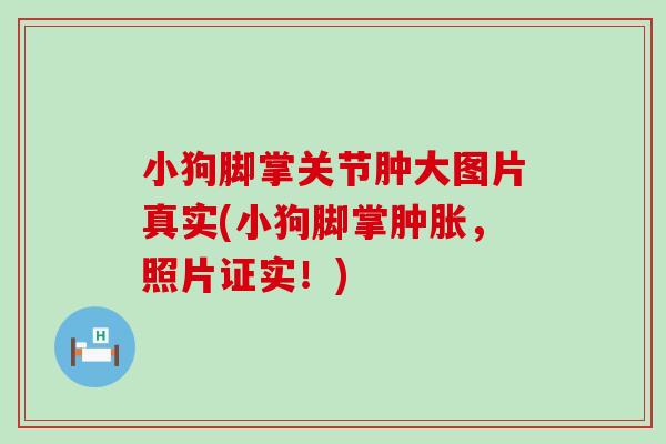小狗脚掌关节肿大图片真实(小狗脚掌肿胀，照片证实！)
