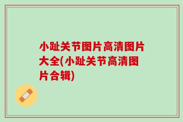 小趾关节图片高清图片大全(小趾关节高清图片合辑)