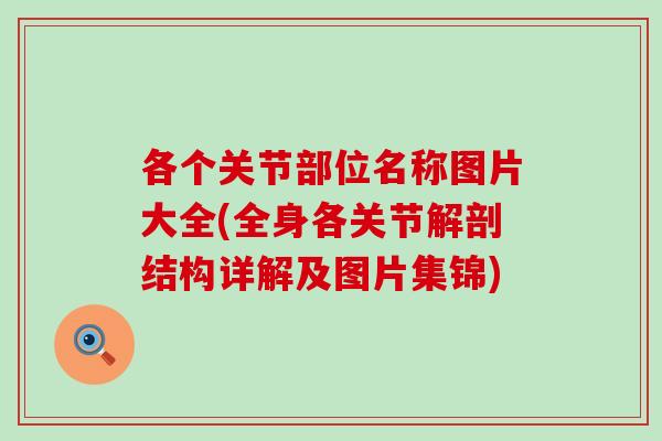 各个关节部位名称图片大全(全身各关节解剖结构详解及图片集锦)