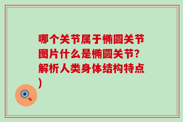 哪个关节属于椭圆关节图片什么是椭圆关节？解析人类身体结构特点)