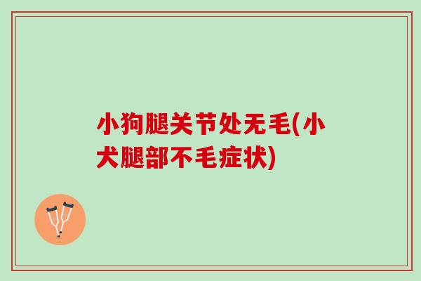 小狗腿关节处无毛(小犬腿部不毛症状)