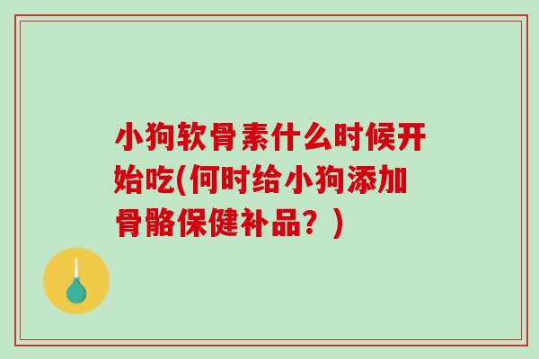 小狗软骨素什么时候开始吃(何时给小狗添加骨骼保健补品？)