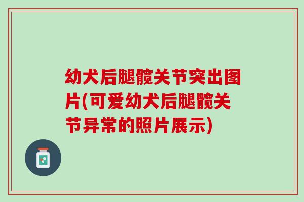 幼犬后腿髋关节突出图片(可爱幼犬后腿髋关节异常的照片展示)
