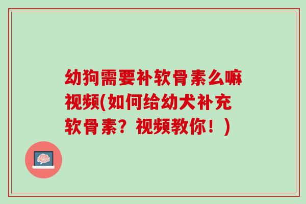 幼狗需要补软骨素么嘛视频(如何给幼犬补充软骨素？视频教你！)