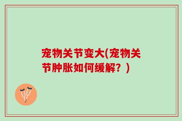 宠物关节变大(宠物关节肿胀如何缓解？)