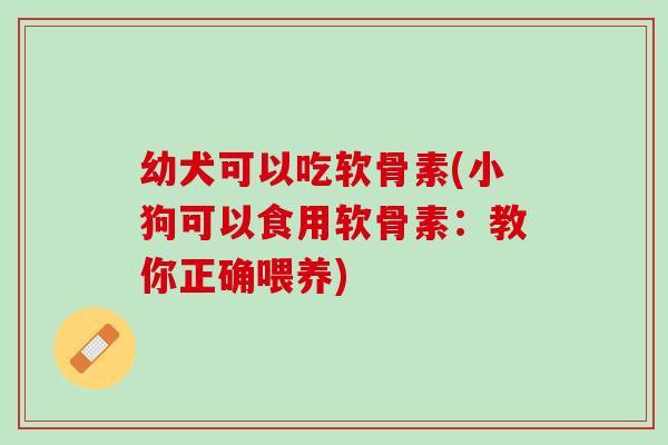幼犬可以吃软骨素(小狗可以食用软骨素：教你正确喂养)