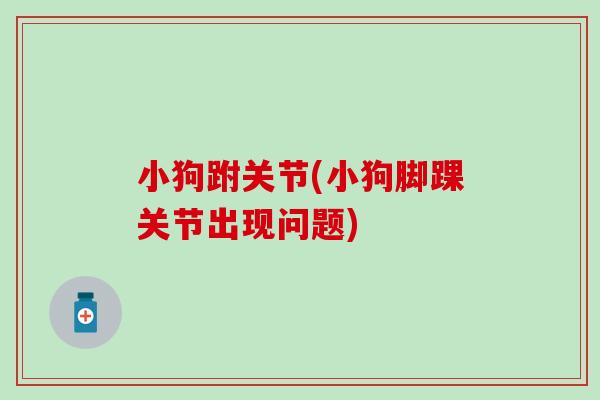 小狗跗关节(小狗脚踝关节出现问题)