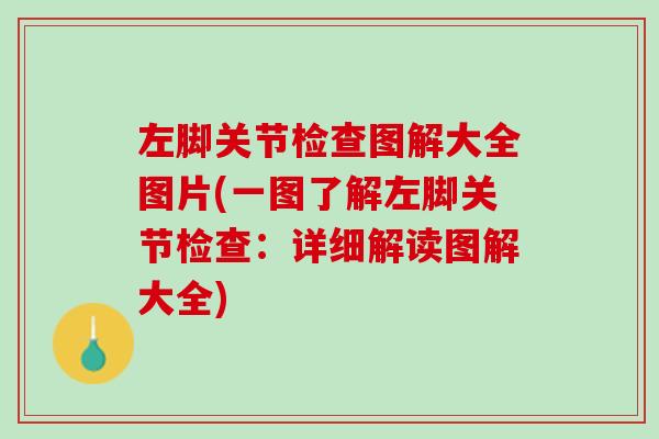 左脚关节检查图解大全图片(一图了解左脚关节检查：详细解读图解大全)