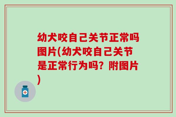 幼犬咬自己关节正常吗图片(幼犬咬自己关节是正常行为吗？附图片)