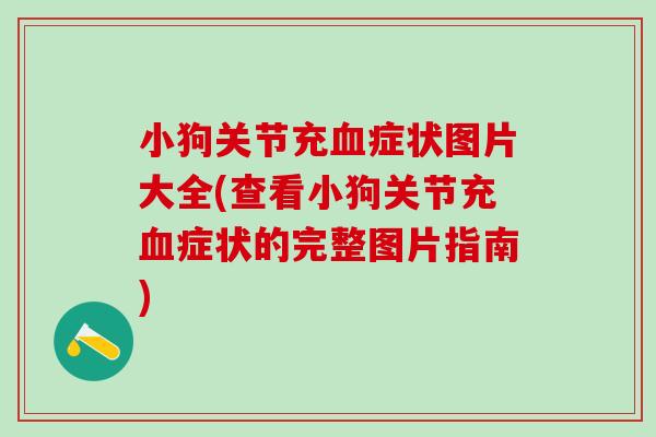小狗关节充血症状图片大全(查看小狗关节充血症状的完整图片指南)