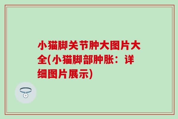 小猫脚关节肿大图片大全(小猫脚部肿胀：详细图片展示)