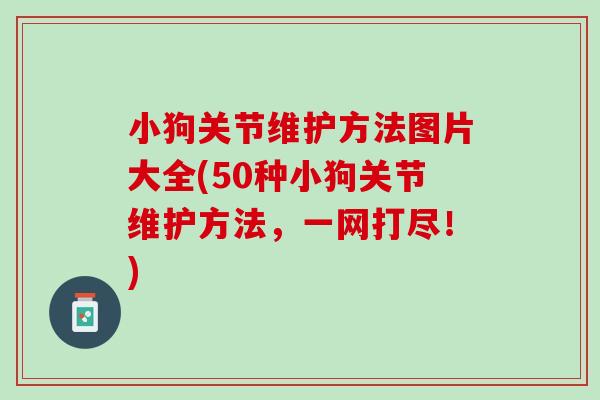 小狗关节维护方法图片大全(50种小狗关节维护方法，一网打尽！)