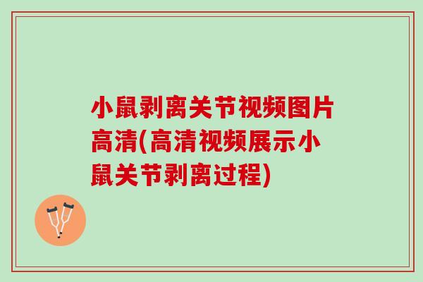 小鼠剥离关节视频图片高清(高清视频展示小鼠关节剥离过程)