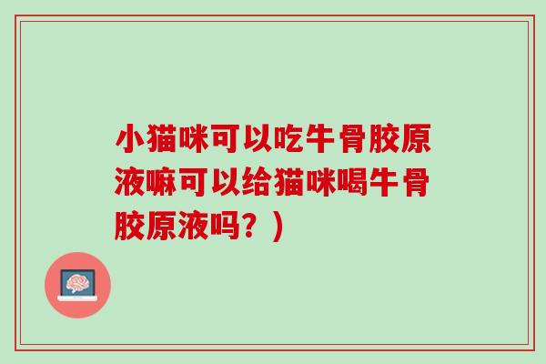 小猫咪可以吃牛骨胶原液嘛可以给猫咪喝牛骨胶原液吗？)