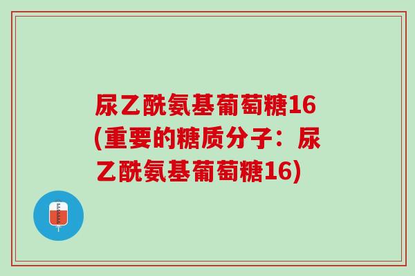 尿乙酰氨基葡萄糖16(重要的糖质分子：尿乙酰氨基葡萄糖16)