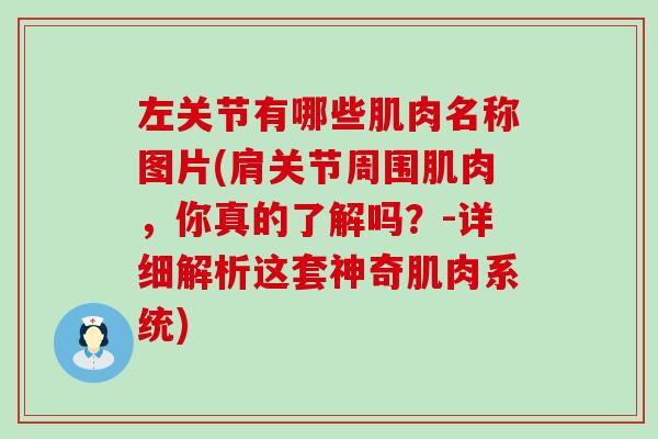 左关节有哪些肌肉名称图片(肩关节周围肌肉，你真的了解吗？-详细解析这套神奇肌肉系统)