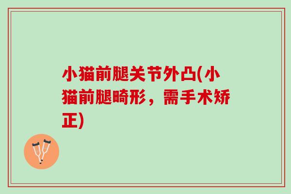 小猫前腿关节外凸(小猫前腿畸形，需手术矫正)