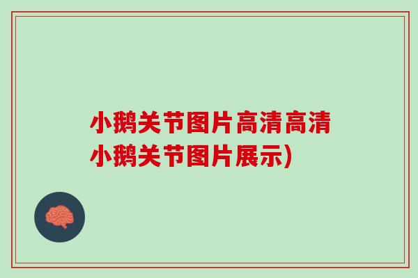 小鹅关节图片高清高清小鹅关节图片展示)