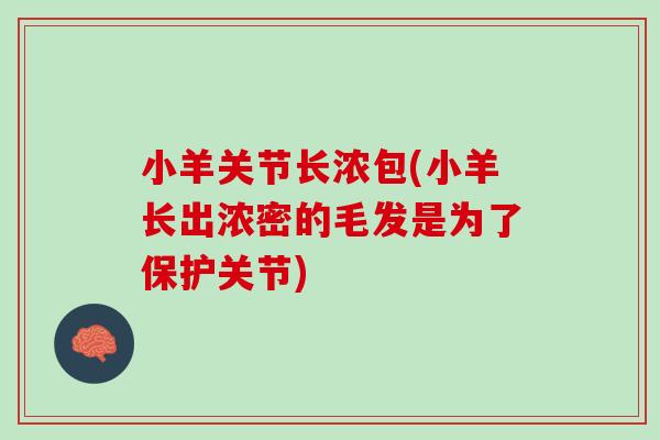 小羊关节长浓包(小羊长出浓密的毛发是为了保护关节)